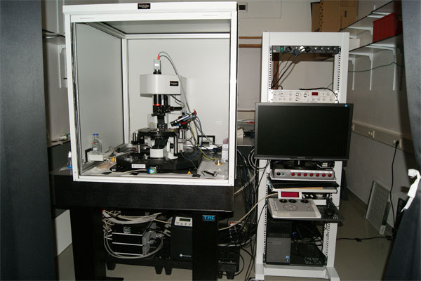 Confocal 2-Photon microscope Femtonics
